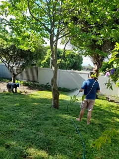 Roll on lawn Kikuyu grass