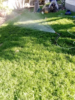 Roll on lawn Kikuyu grass