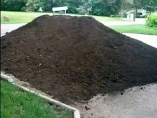 Roll on lawn Kikuyu grass