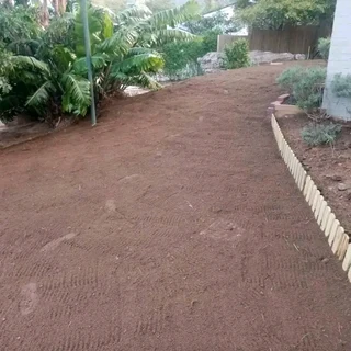 Roll on lawn Kikuyu grass