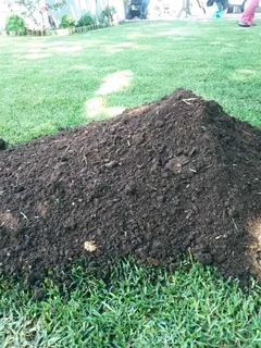 Roll on lawn Kikuyu grass