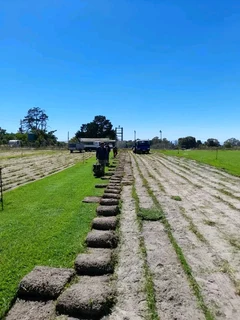 Delivery and installa national grass