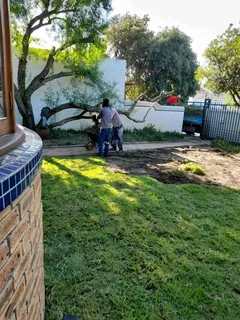 Delivery and installa national grass