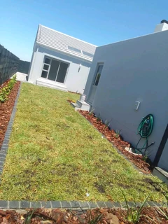 Delivery and installa Kikuyu grass