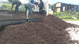 Delivery and installa Kikuyu grass