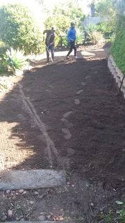 Delivery and installa Kikuyu grass