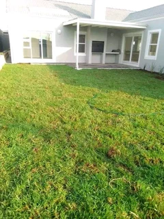 Roll on lawn lawn Kikuyu grass