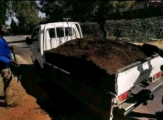 Roll on lawn lawn Kikuyu grass