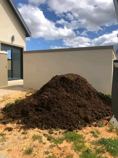 Roll on lawn lawn Kikuyu grass