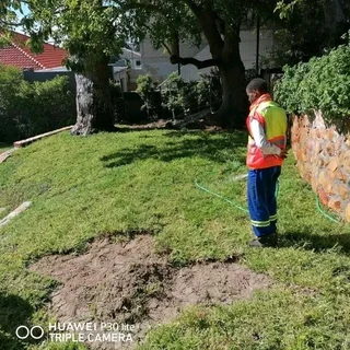 Roll on lawn lawn Kikuyu grass