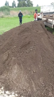 Roll on lawn lawn Kikuyu grass