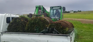 We do have nice and green grass