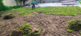 We do have nice and green grass