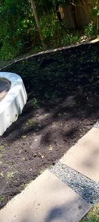 We do have nice and green grass