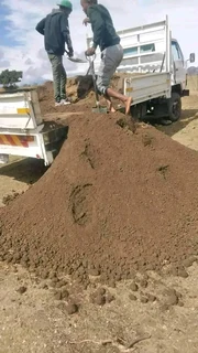 Roll on lawn Kikuyu grass and buffalo grass weed free