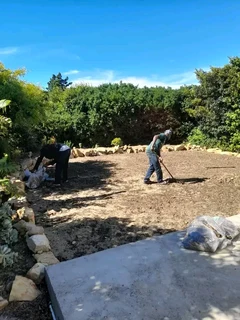 Quick and fresh national grass