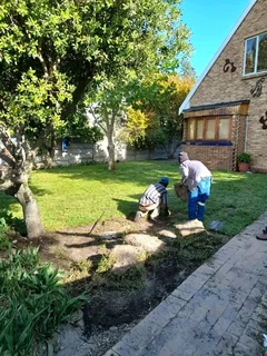 Quick and fresh national grass