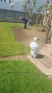 Quick and fresh national grass