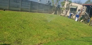 Quick and fresh national grass