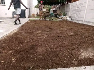 Quick and fresh national grass