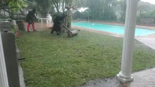 Supply and installa buffalo grass