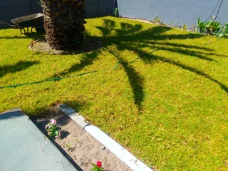 We do supply and installa type of national grass