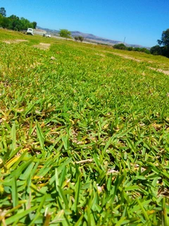 We do supply and installa type of national grass