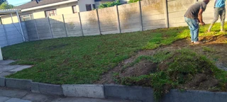 We do supply and installa type of national grass