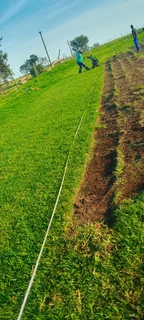 We do supply and installa type of national grass