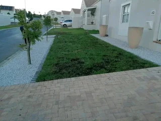 Green and fresh grass from the farm