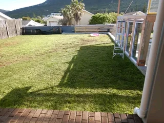 Green and fresh grass from the farm