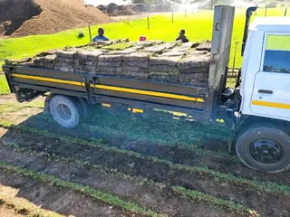 Delivery and installation Kikuyu grass national