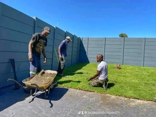 Delivery and installation Kikuyu grass national