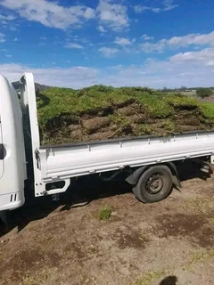 Delivery and installation Kikuyu grass national