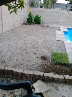 Delivery and installation Kikuyu grass national