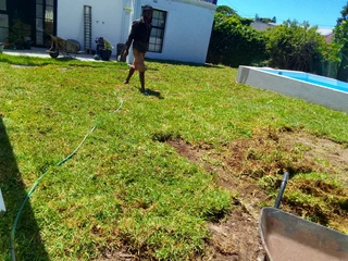 We do supply and installa buffalo grass 100%