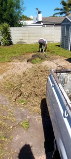 We do supply and installa buffalo grass 100%