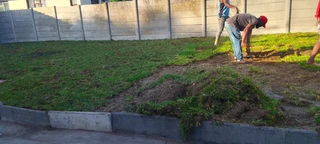 We do supply and installa buffalo grass 100%