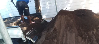 Kikuyu grass and buffalo grass weed free