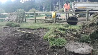 Delivery and installa buffalo grass