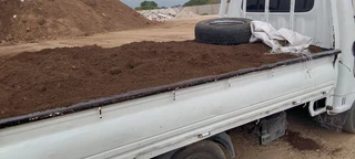 Delivery and installa buffalo grass