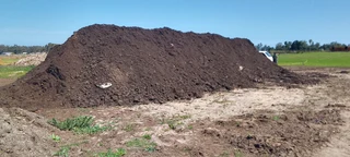 Delivery and installa buffalo grass