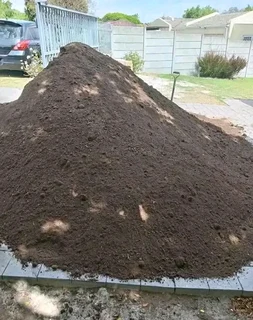 Delivery and installa buffalo grass