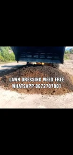 Roll on lawn Kikuyu grass