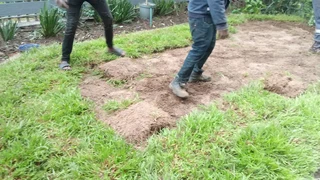 Supply and installa Lm Berea grass