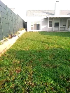 installa and delivery roll on lawn Kikuyu grass