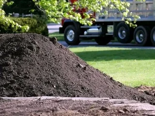 installa and delivery roll on lawn Kikuyu grass