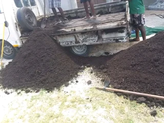 installa and delivery roll on lawn Kikuyu grass