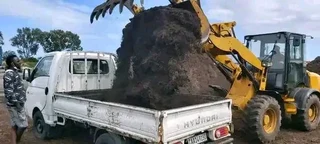 Delivery and installa buffalo grass