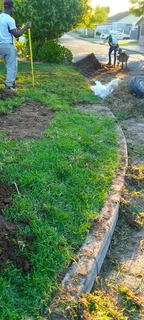 Delivery and installa buffalo grass
